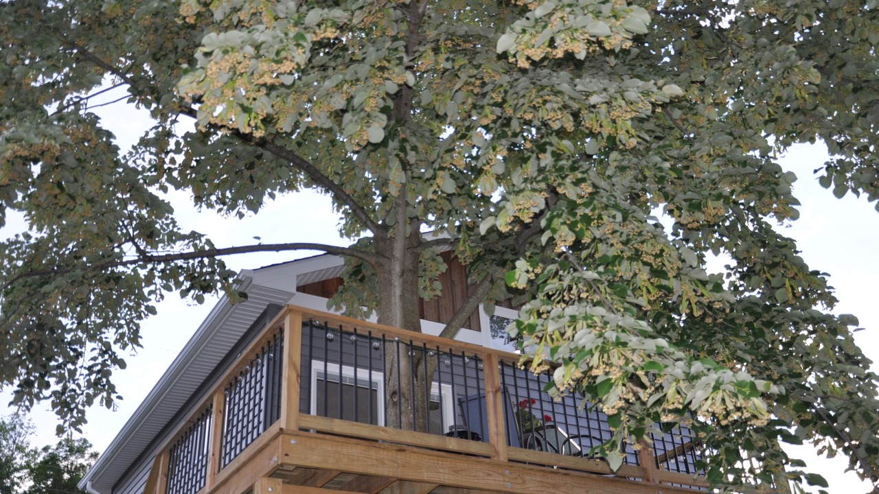 Photo of Outdoor in Riva