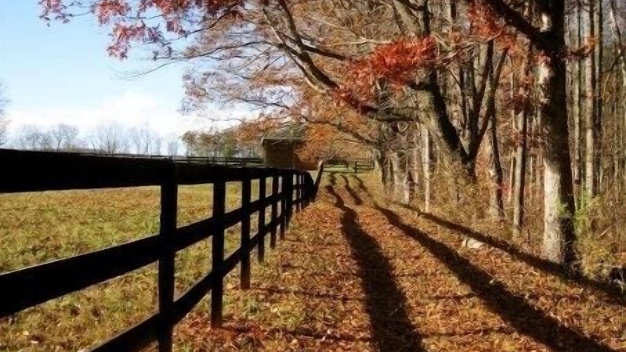 Photo of Outdoor in Gordonsville