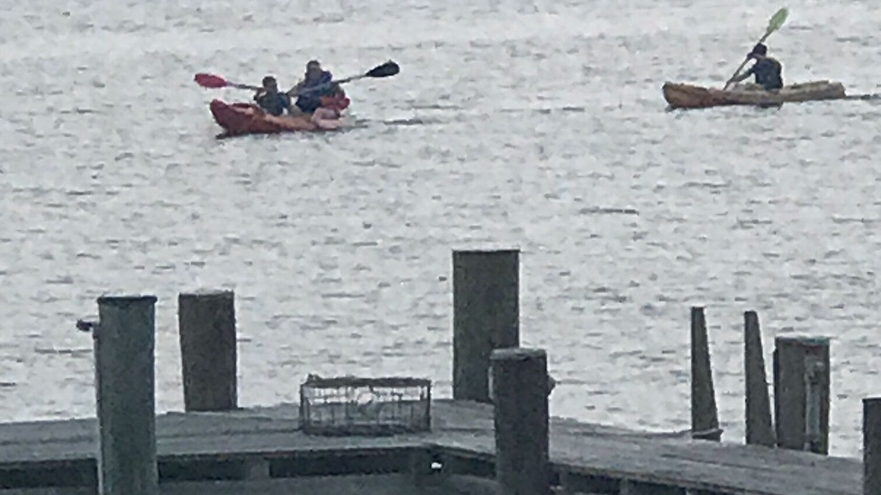 Photo of Others in St. Michaels