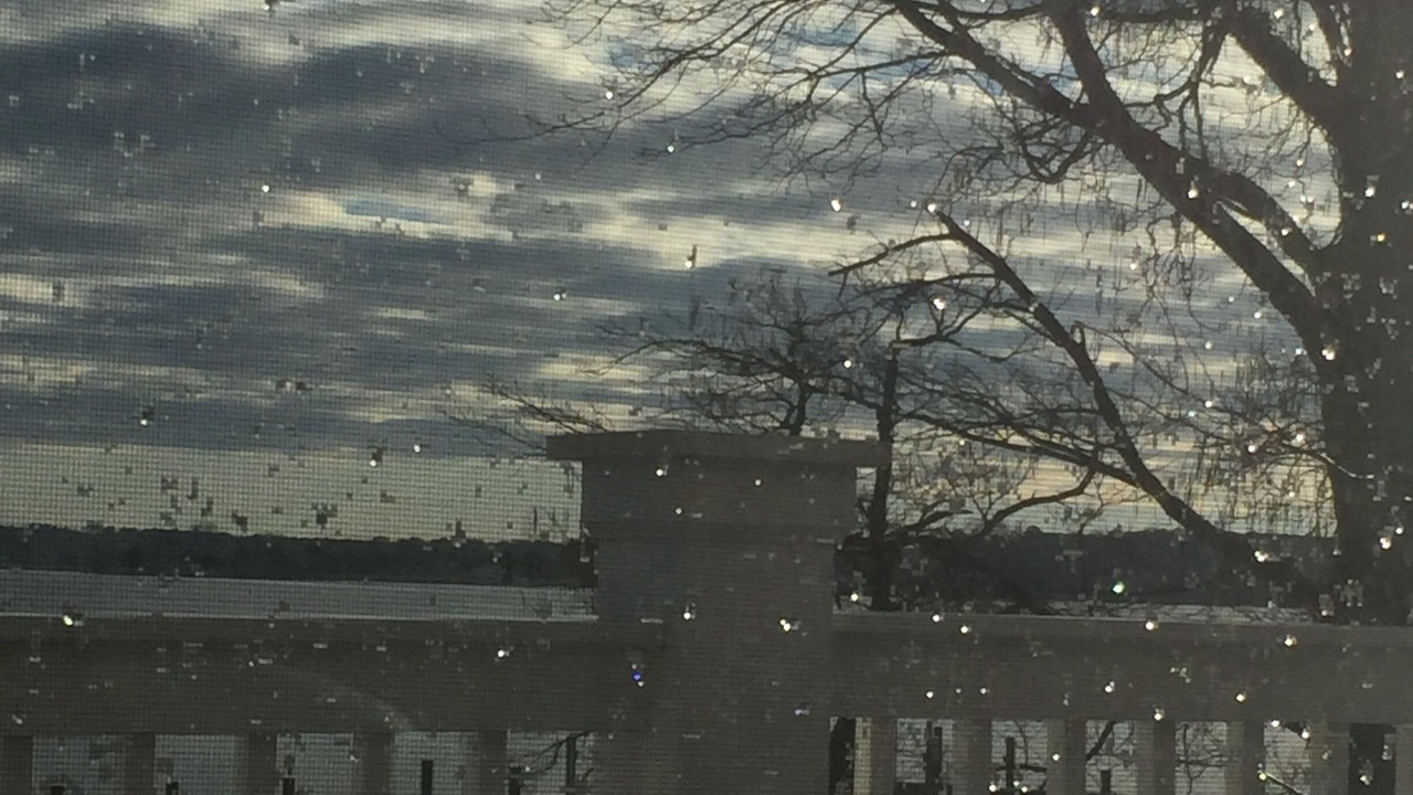 Photo of Outdoor in St. Michaels