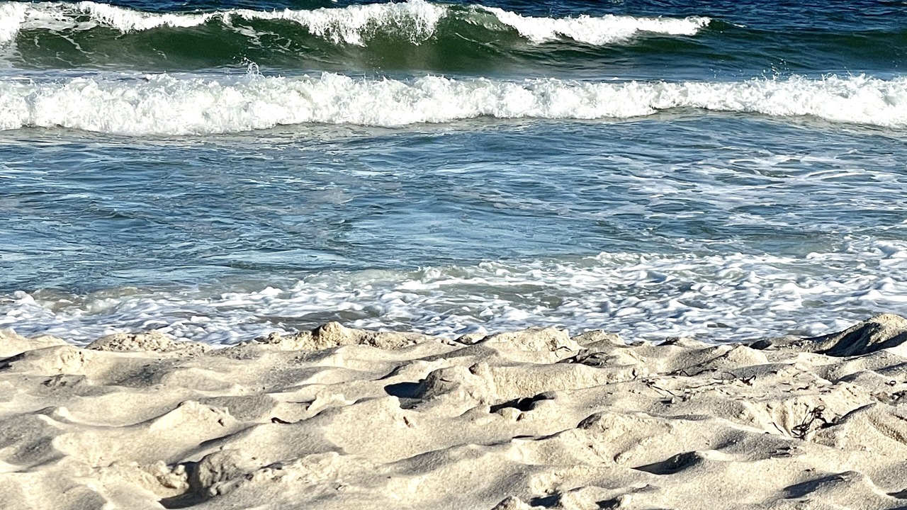 Photo of Others in Harvey Cedars