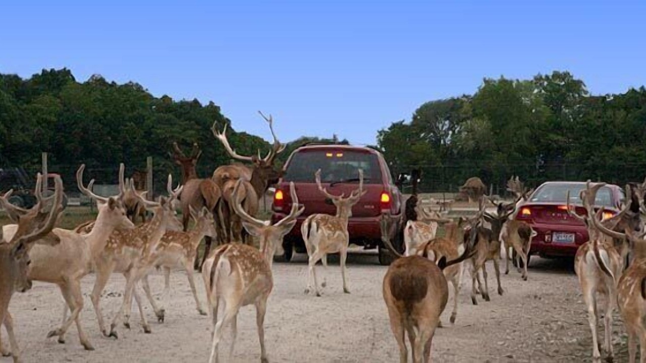 Photo of Others in Port Clinton