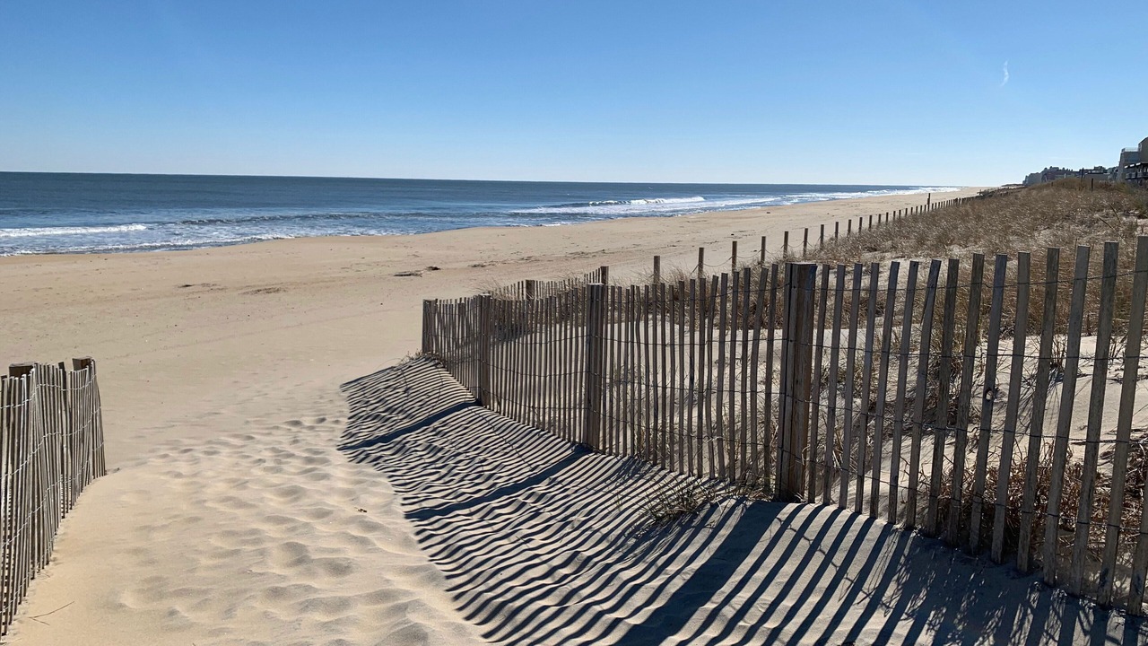 Photo of Others in Midtown Ocean City