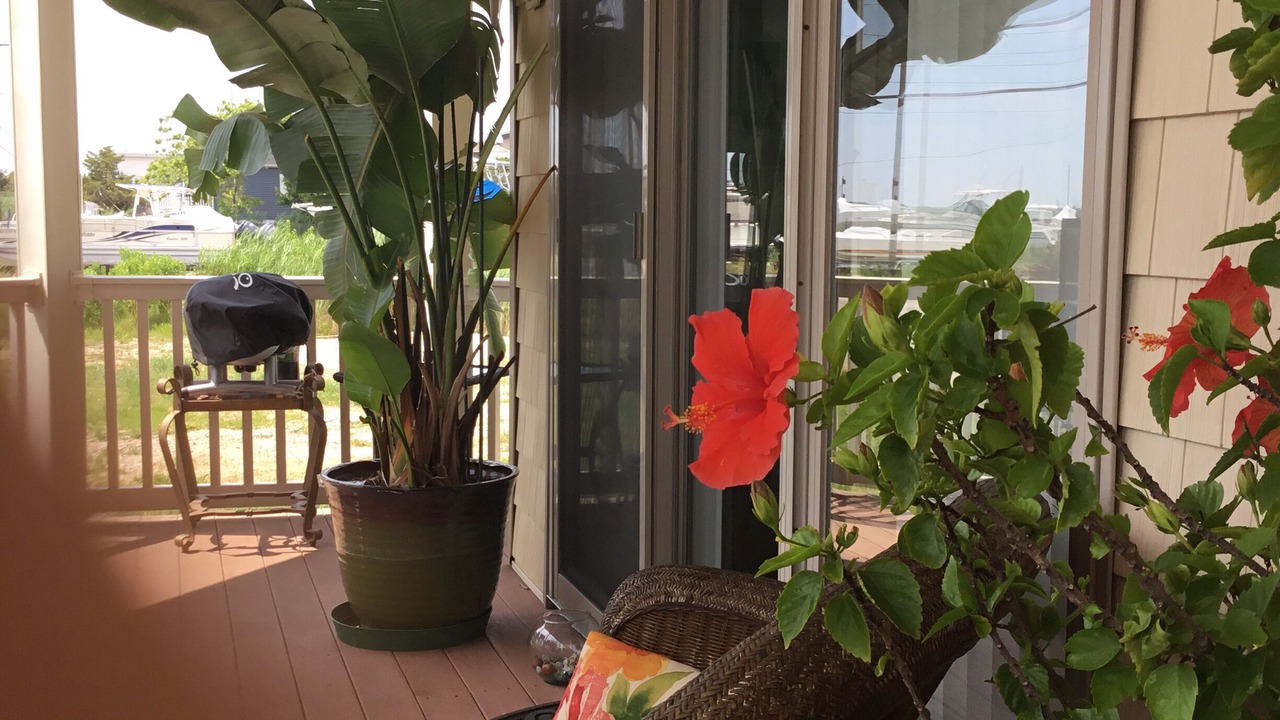 Photo of Outdoor in Wildwood