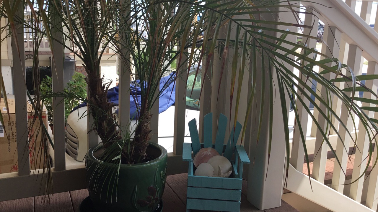 Photo of Patio Balcony in Wildwood