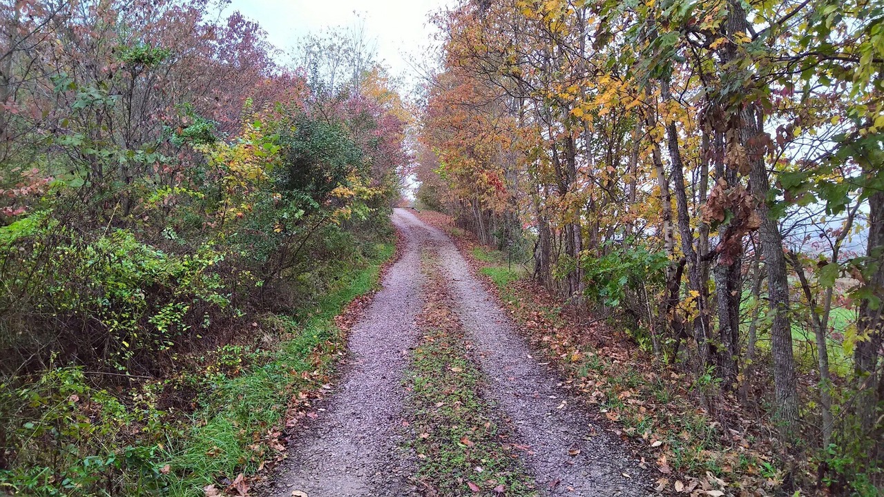 Photo of Others in Laurelville