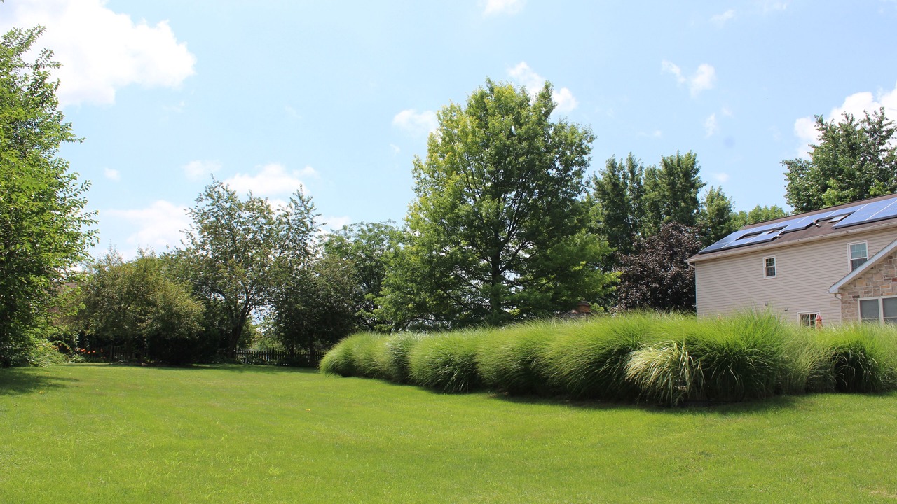 Photo of Outdoor in Palmyra