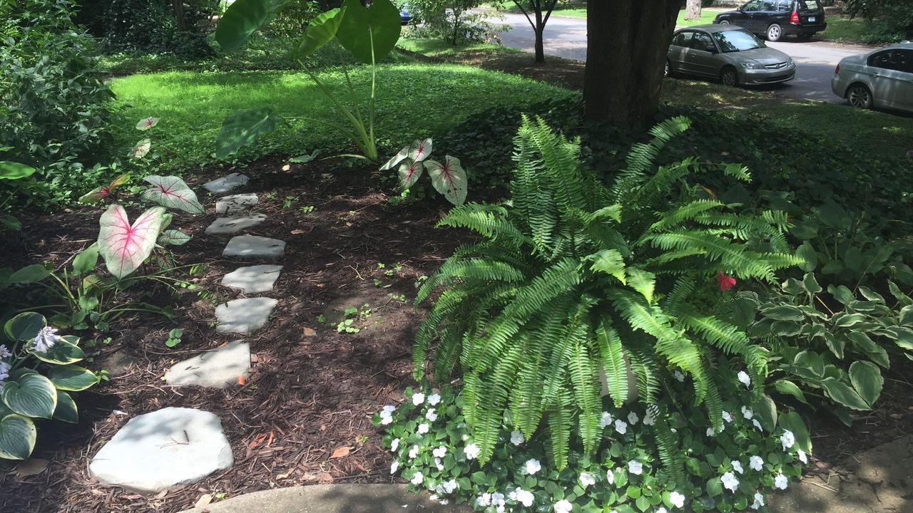 Photo of Outdoor in Cherokee Triangle