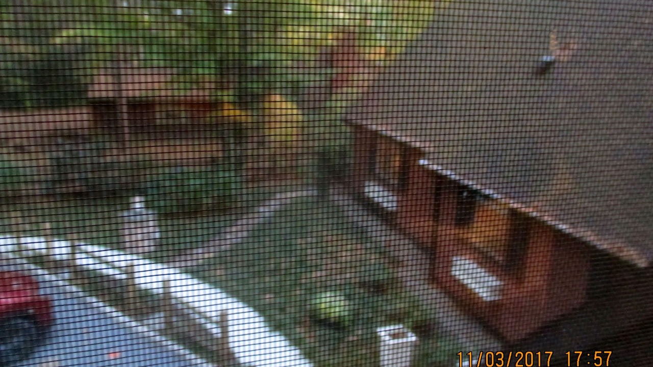 Photo of Outdoor in Felton