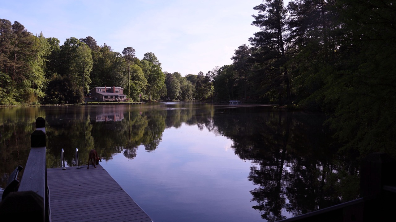 Photo of Outdoor in Felton