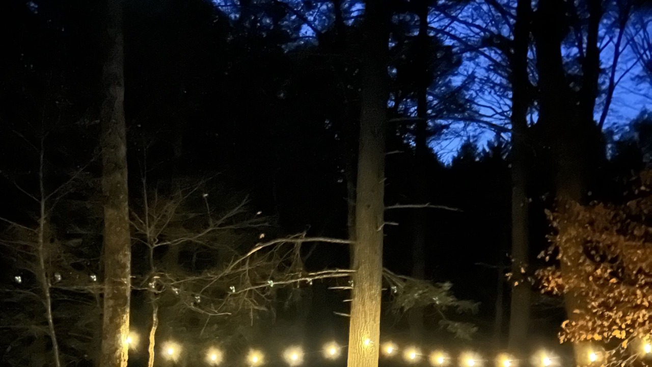 Photo of Others in Bushkill