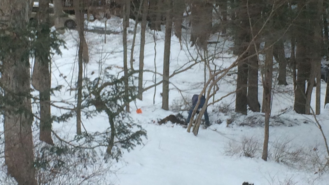 Photo of Others in Bushkill