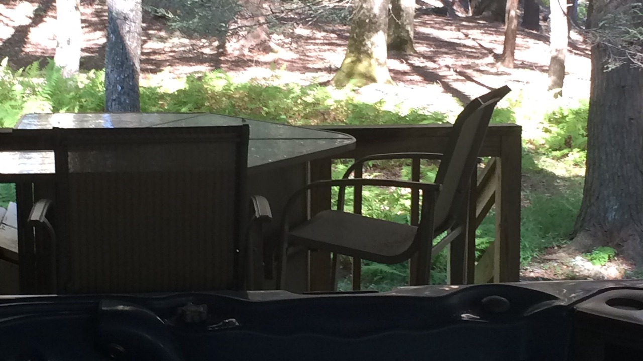 Photo of Outdoor in Bushkill