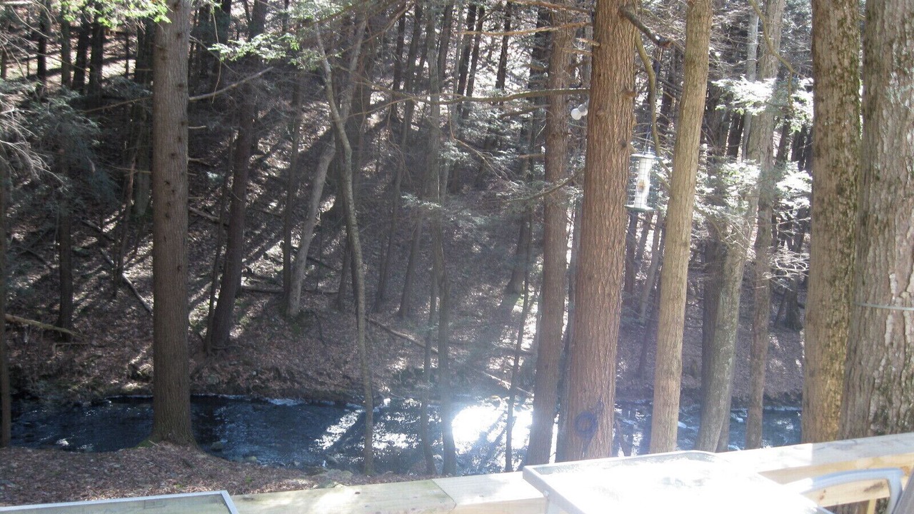Photo of Others in Bushkill