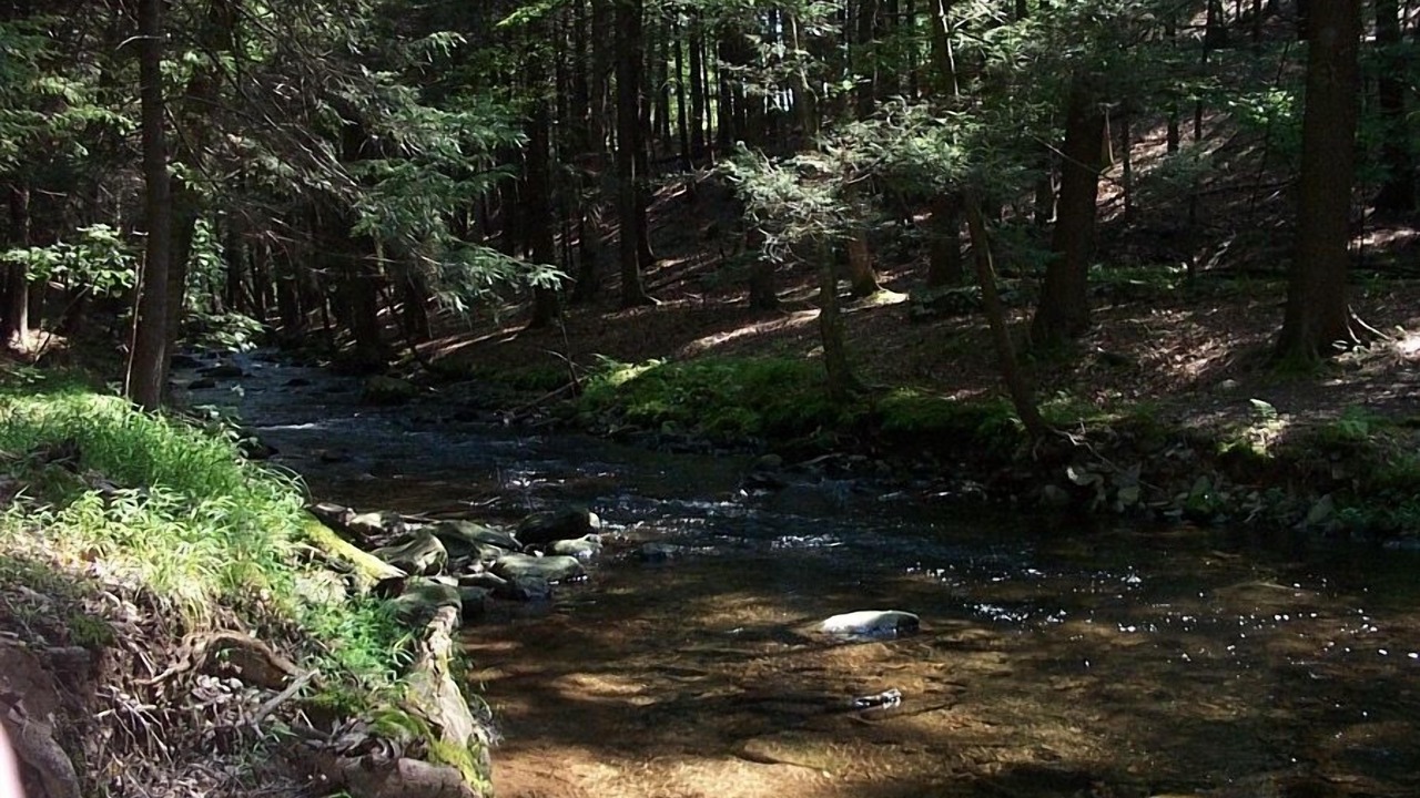Photo of Others in Bushkill
