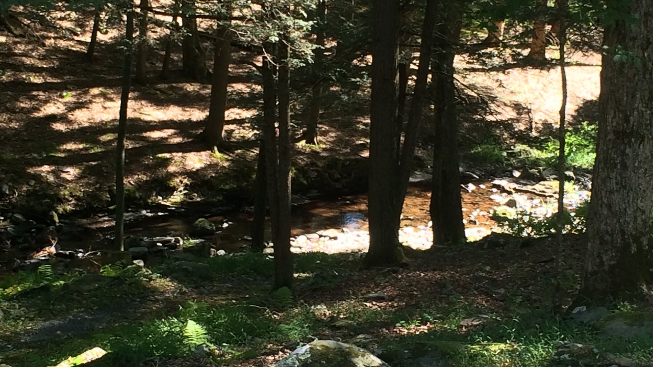 Photo of Outdoor in Bushkill