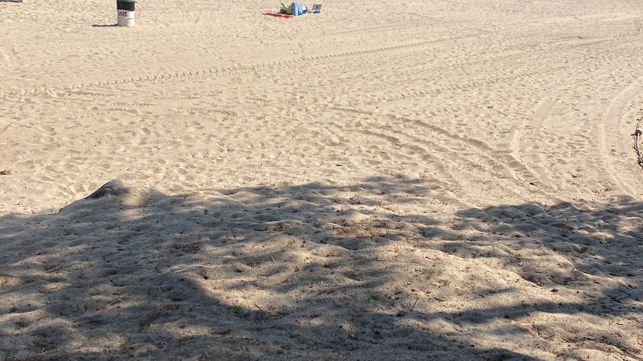 Photo of Others in Rye