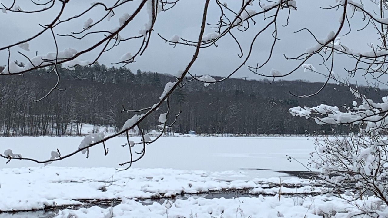 Photo of Others in Lakeville