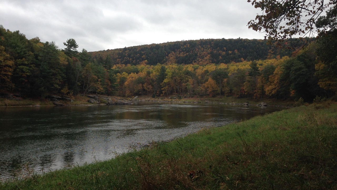 Photo of Others in Lackawaxen