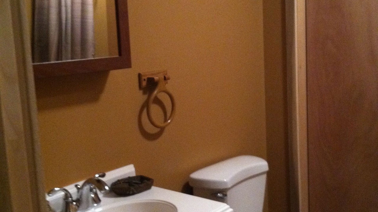 Photo of Bathroom in Lackawaxen
