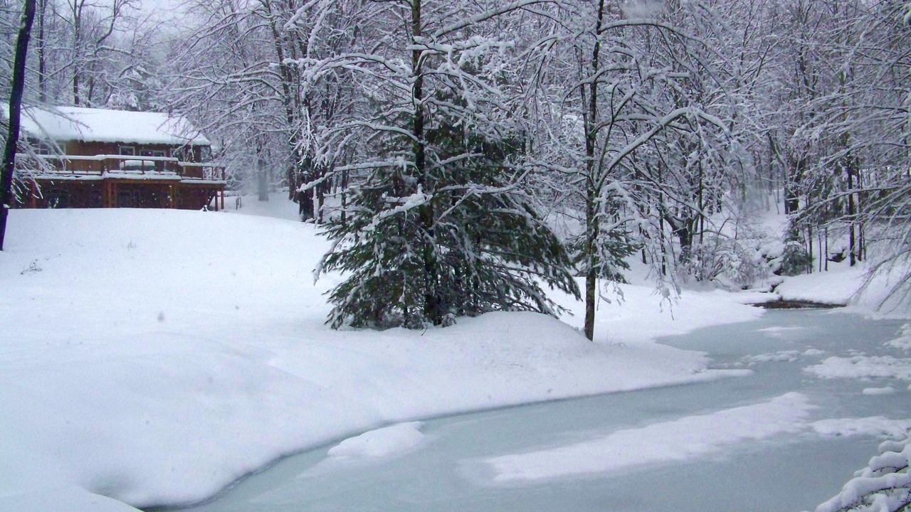Photo of Others in Bearsville