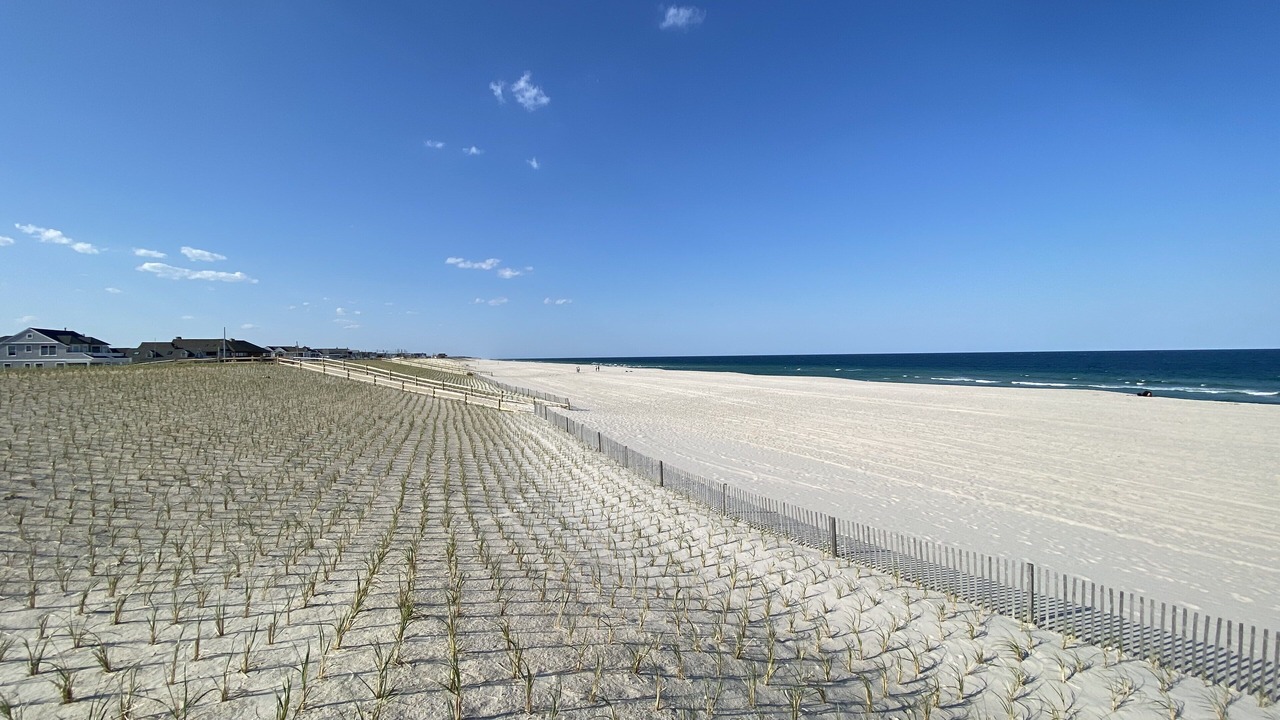 Photo of Others in Lavallette