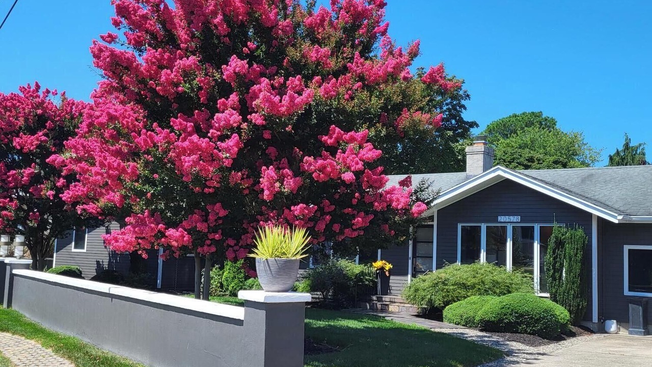 Photo of Outdoor in Rehoboth Beach