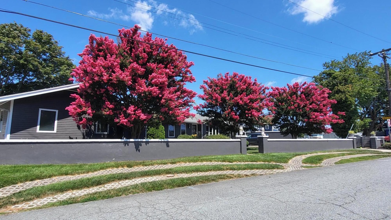 Photo of Outdoor in Rehoboth Beach