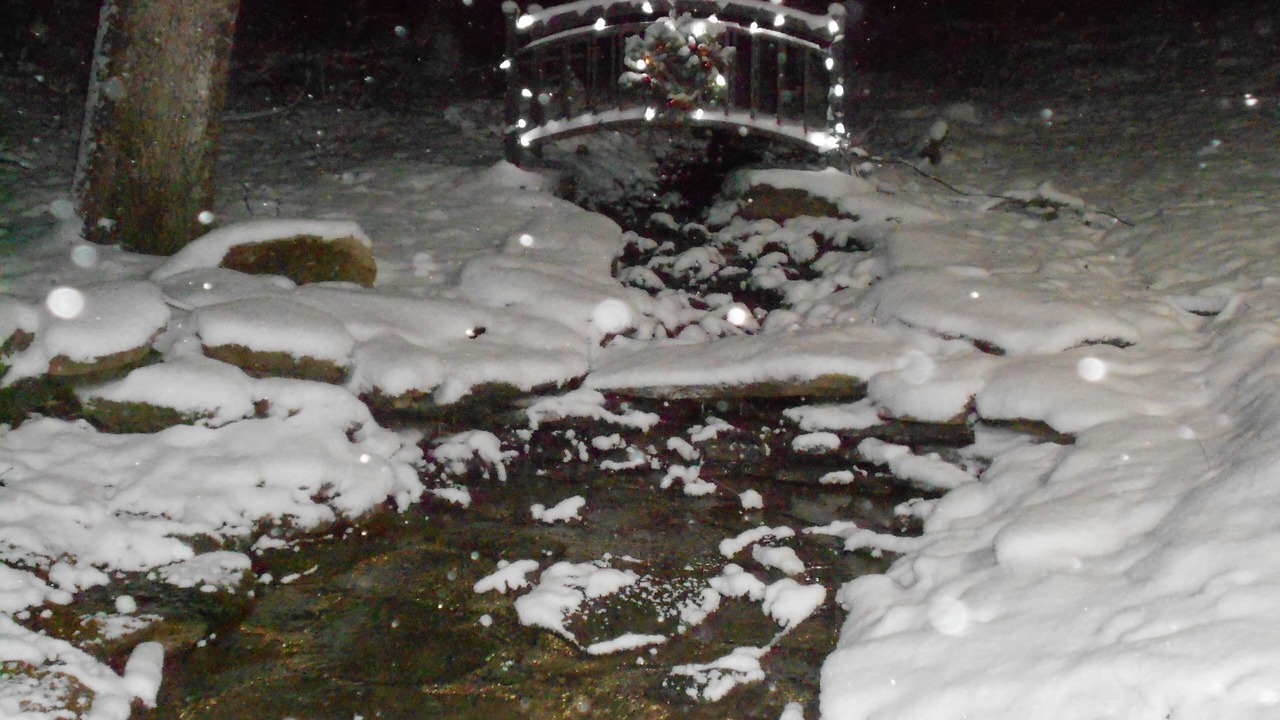Photo of Outdoor in Rockwood