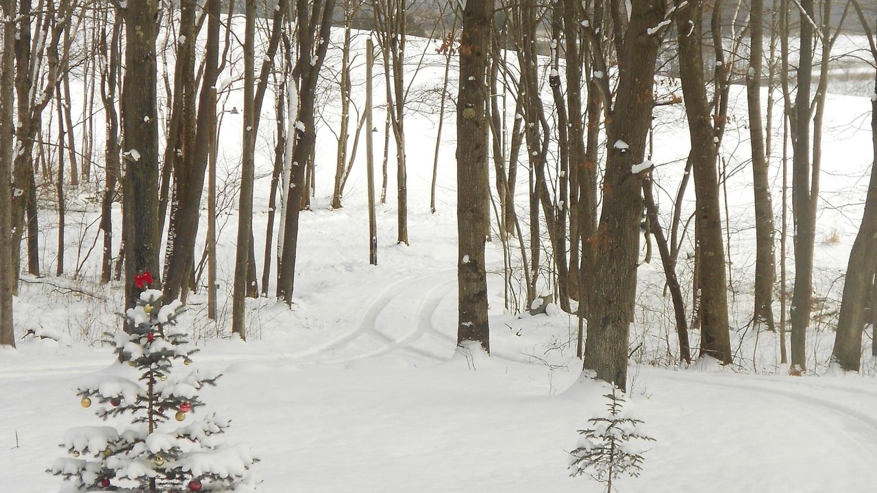Photo of Others in Rockwood