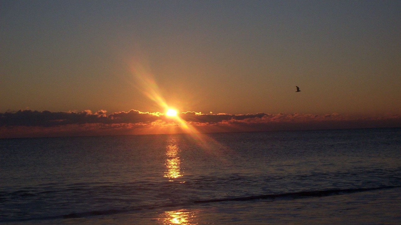 Photo of Others in South Rehoboth