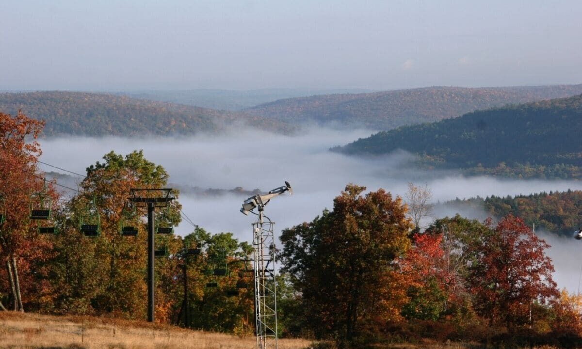 Photo of Others in Lackawaxen