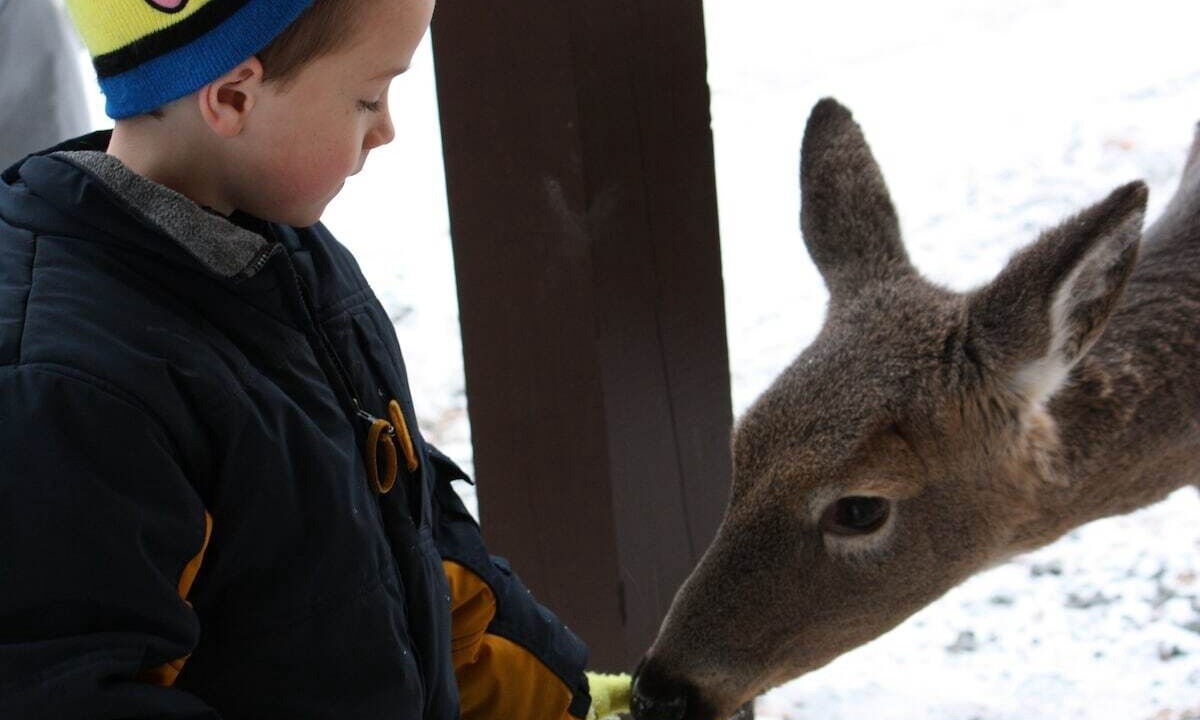 Photo of Others in Lackawaxen