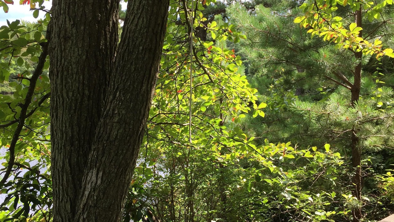 Photo of Outdoor in Long Pond