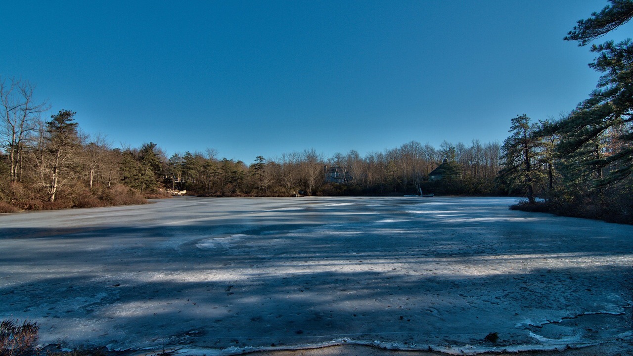 Photo of Others in Long Pond