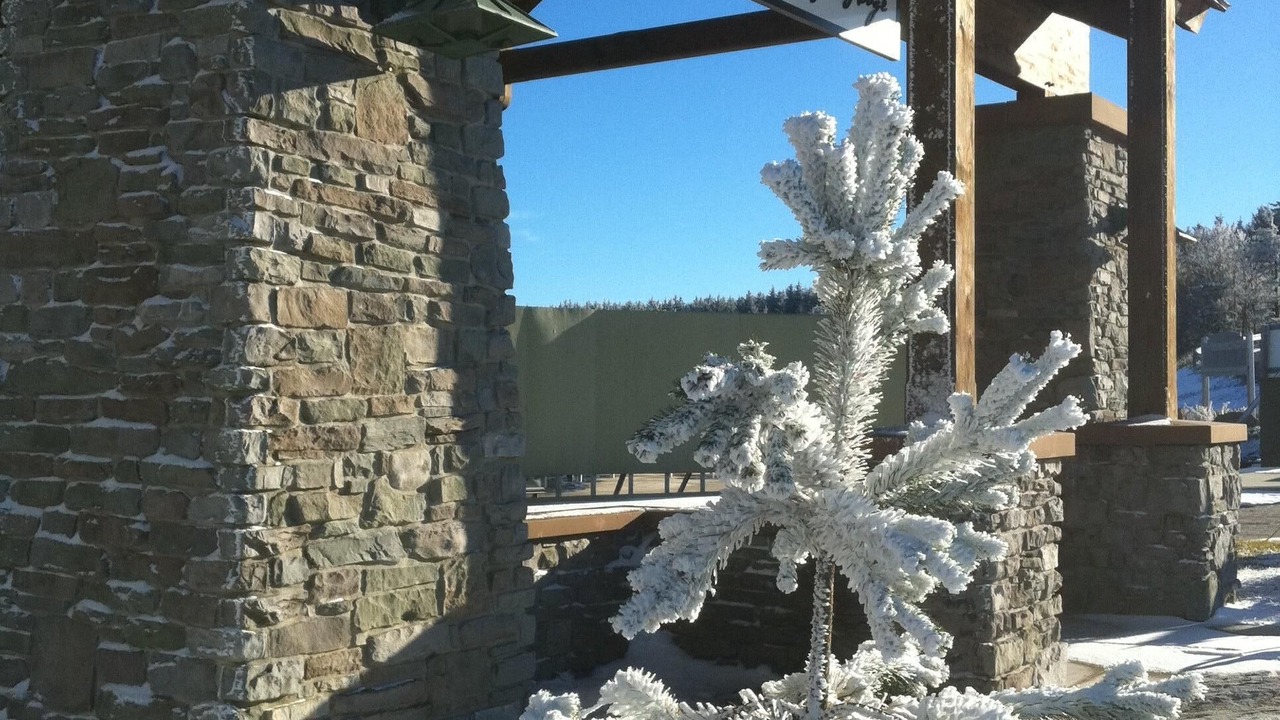Photo of Others in Snowshoe