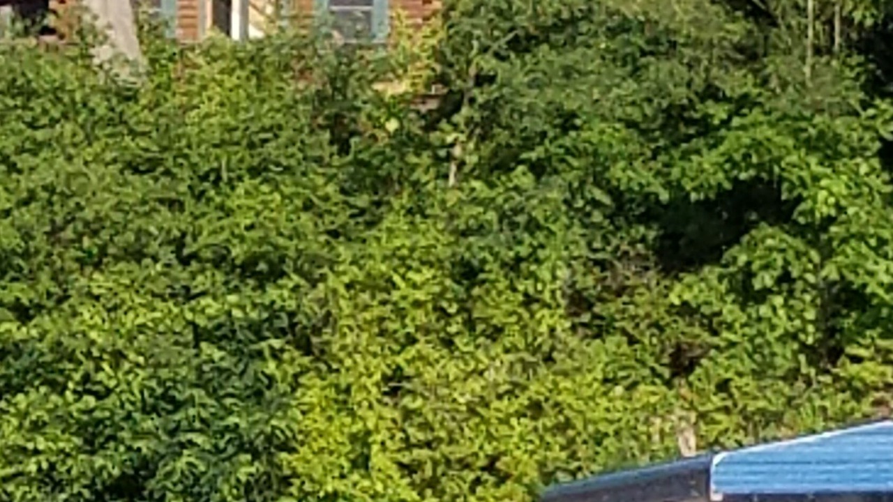 Photo of Outdoor in Town of Benton