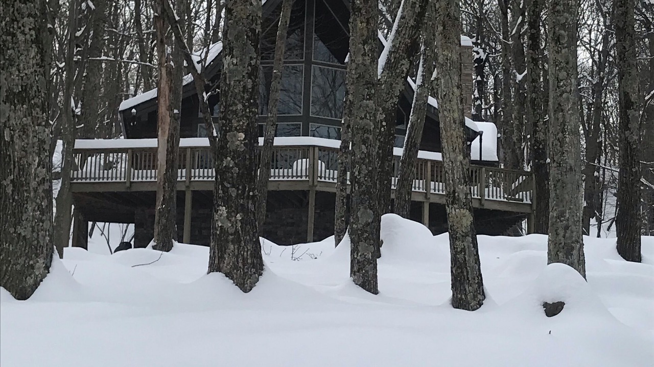 Photo of Outdoor in Chestnut Springs