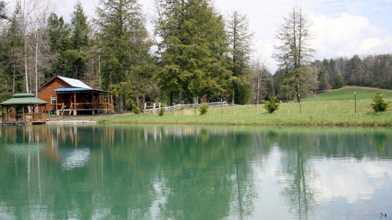 Photo of Outdoor in Muddy Pond