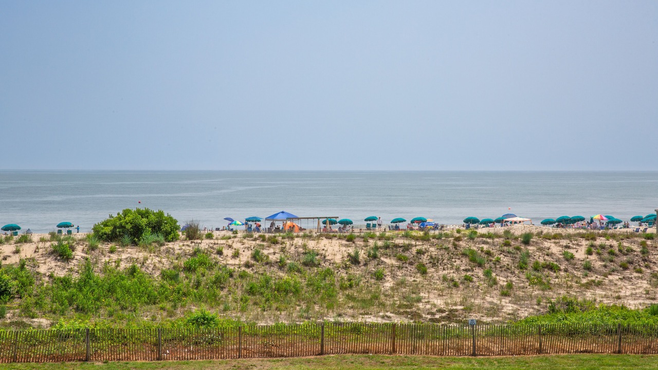Photo of Others in Bethany Beach