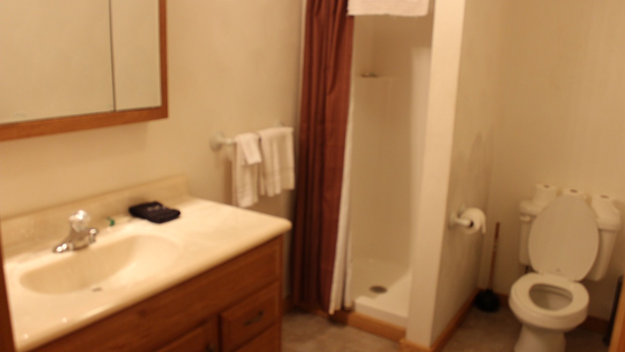 Photo of Bathroom in Champion