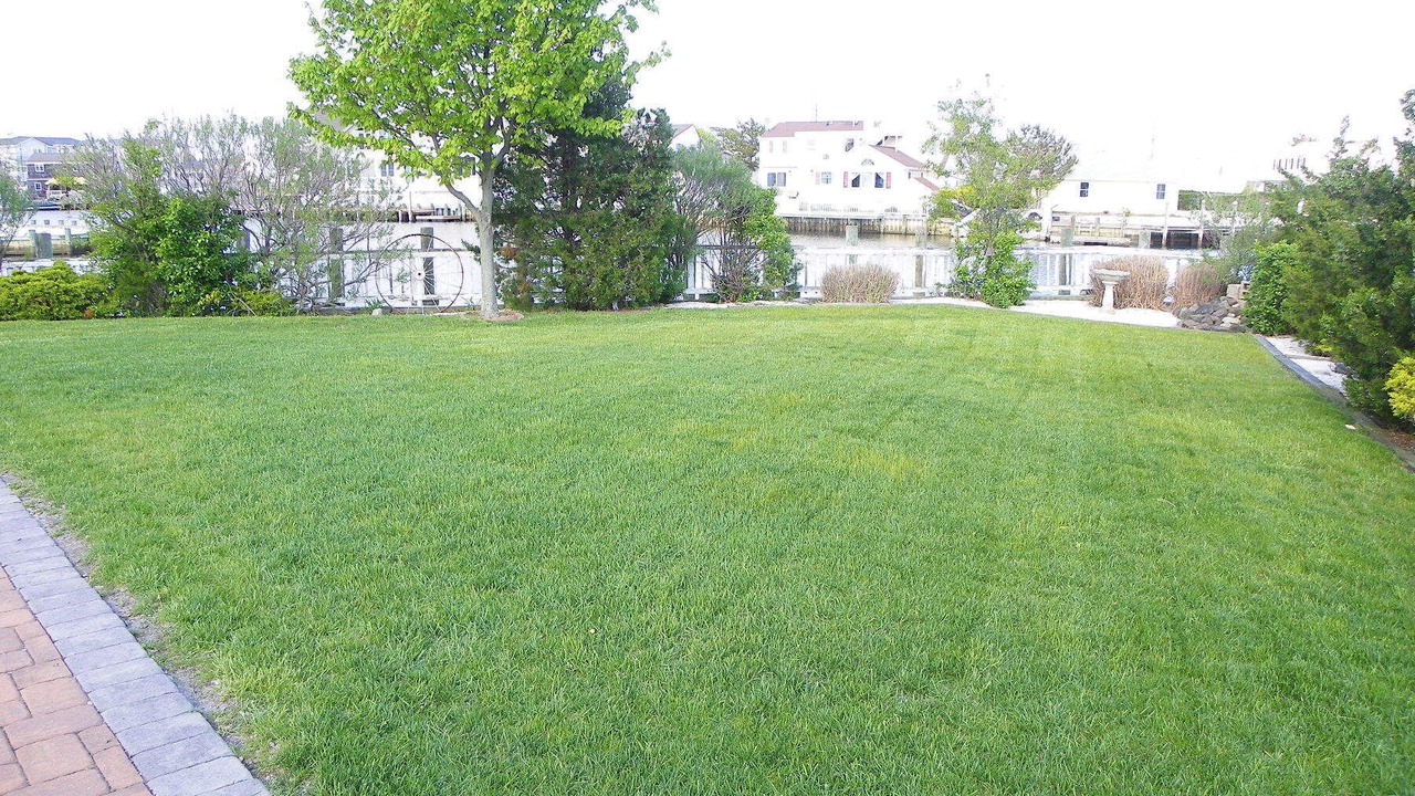 Photo of Outdoor in Beach Haven West