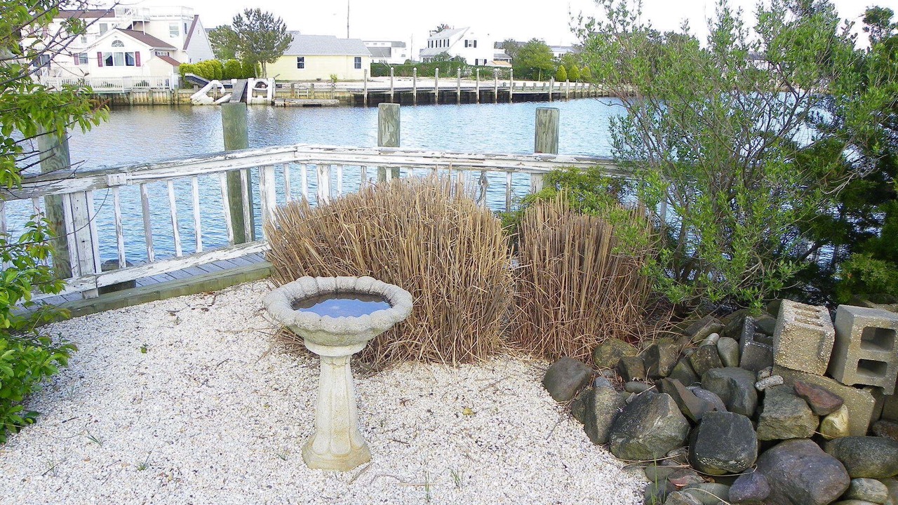 Photo of Outdoor in Beach Haven West