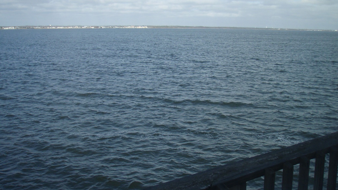 Photo of Others in Normandy Beach