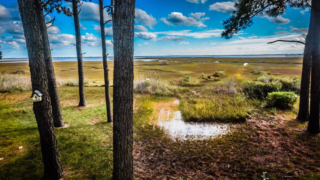 Photo of Others in Assateague Pointe