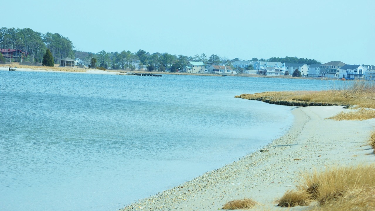 Photo of Others in Ocean View