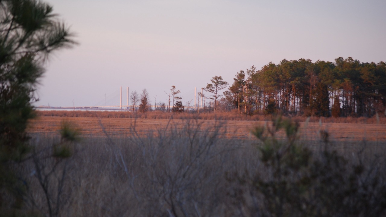Photo of Outdoor in Ocean View