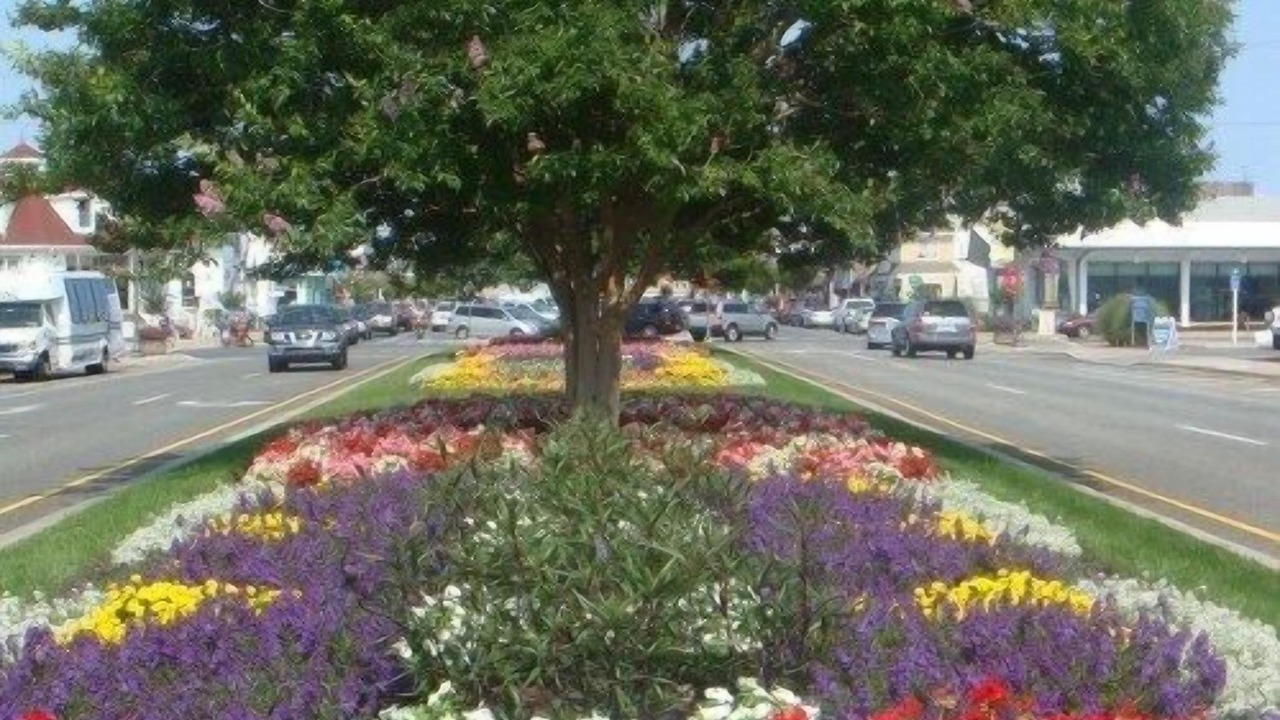 Photo of Outdoor in Ocean View