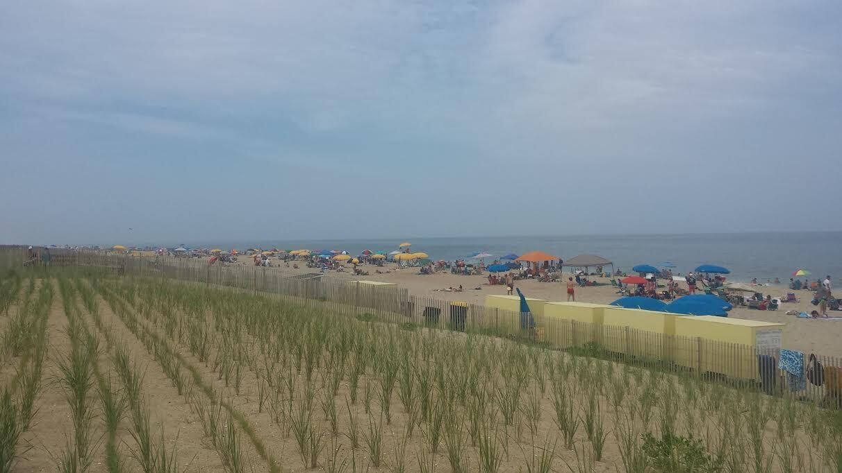 Photo of Others in Ocean View