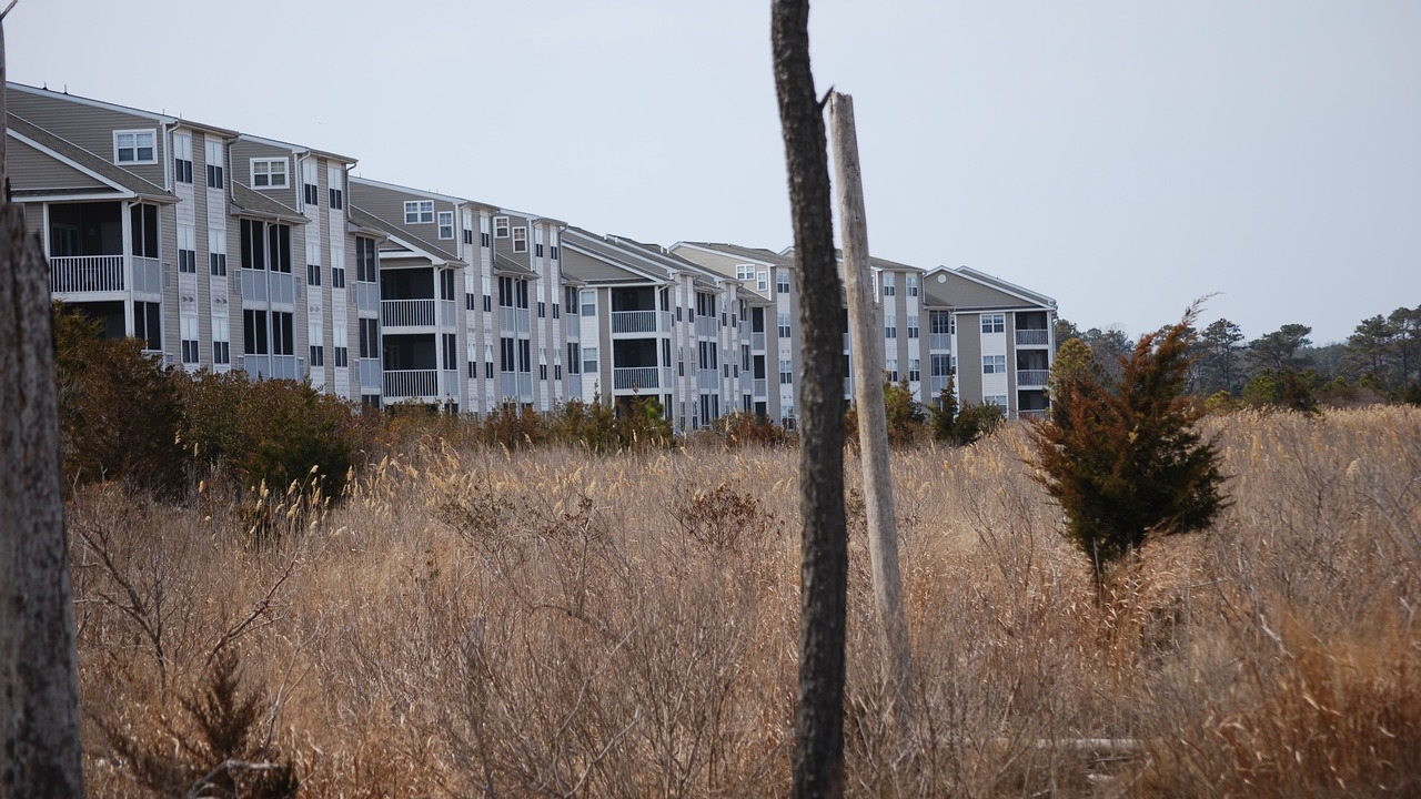 Photo of Outdoor in Ocean View
